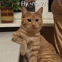 ���� ������, ���������, 36 ��� - ��������� 20 ���� 2023 � ������ ���� ����������