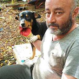 �������, ���������, 56 ���