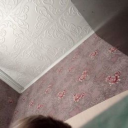 �����, �������, 38 ���