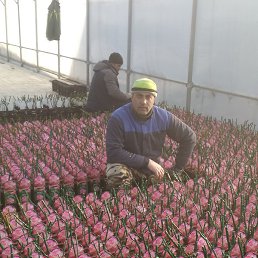 ������, ������, 39 ���