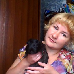 �������, ����������, 49 ���