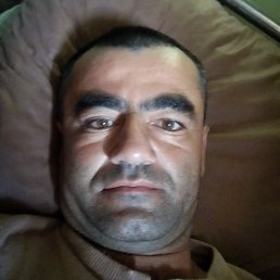 �����, �����������, 36 ���