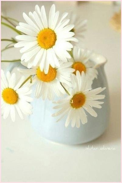 Handmade Club | ���� ��������.���y� - 4