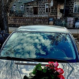 ������� ������, ��� ����, 41 ���