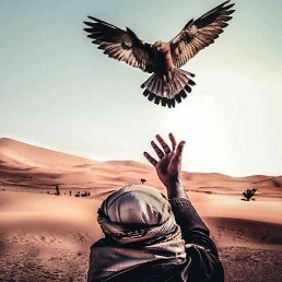 ������, �����������, 41 ���