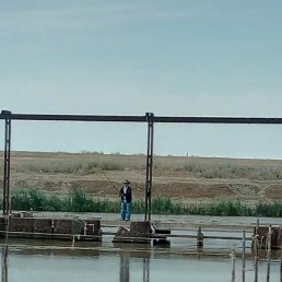 ����, ����, 66 ���