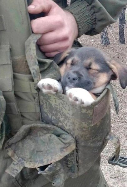 События произошли в зоне действий, где служил один молодой боец. Он часто участвовал в опасных ...