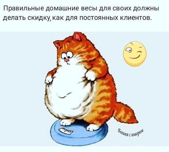   - 10  2023  14:27