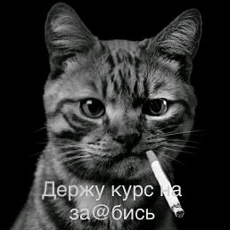 ���� ������, �����, 41 ��� - ��������� 9 ������� 2023