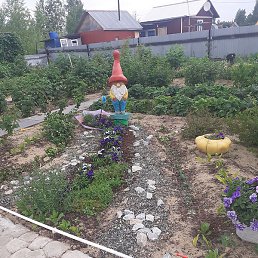 ��������, ������ ��������, 62 ����