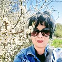 ���� ����, ��������, 39 ��� - ��������� 2 ���� 2023 � ������ ���� ����������