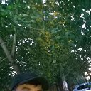 ���� �����, ������, 37 ��� - ��������� 22 ���� 2023 � ������ ���� ����������