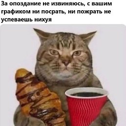 ������, ���������, 23 ����