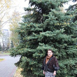 �������, �����, 58 ���