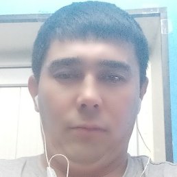 �����, ������, 41 ���