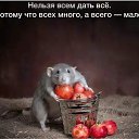 ���� ��������, �����������, 55 ��� - ��������� 18 �������� 2023 � ������ ������ ��������