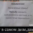 ���� Iib, �����-���������, 52 ���� - ��������� 9 ������� 2023 � ������ ���� ����������