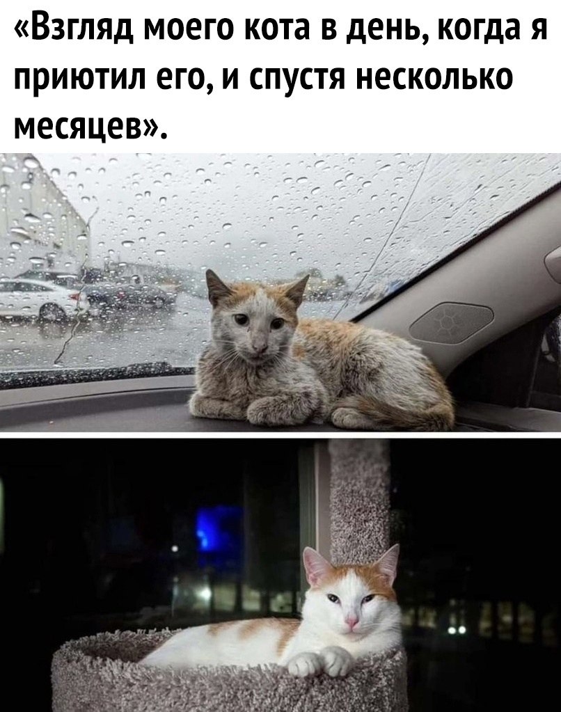  ,   ,        ,      ...