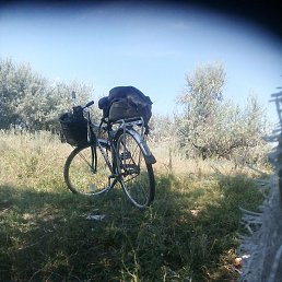 �����, ������, 50 ���