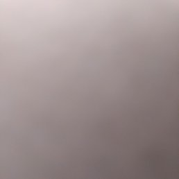 ������, ������, 41 ���