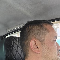 �.�.�, �����-���������, 40 ���