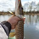 ���� ������, �����, 50 ��� - ��������� 15 ������� 2023