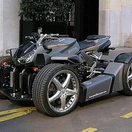 �����, �����������, 42 ����