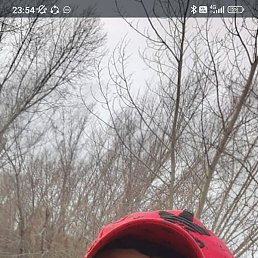 ���������, �����������, 21 ���