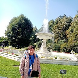 ����, ������-��-����, 37 ���