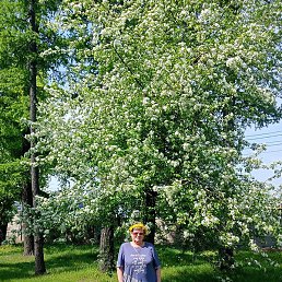 �����, ������������, 63 ����