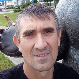 ������, ������, 46 ���