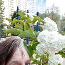 ���� ���������, ������, 52 ���� - ��������� 3 ������� 2023 � ������ ���� ����������