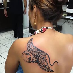 ��������, ���������, 47 ���