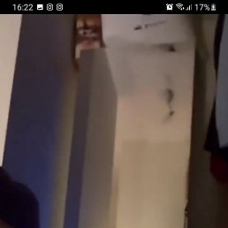 �����, �����������, 23 ����