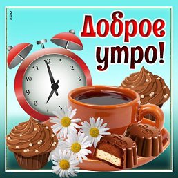 ����, �����������, 65 ���