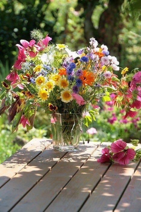 А весны осталось немножечко, а весны осталось чуть-чуть, по ...