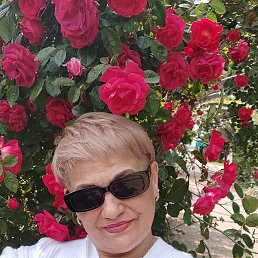 ����, ����, 62 ����