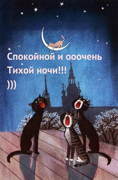   - 15  2023  21:28