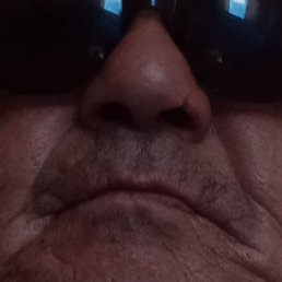 ���������, ����������, 62 ����