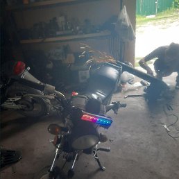 �����, ������, 37 ���