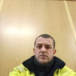 , 43, 