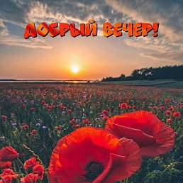 Hafiz, ����, 58 ���