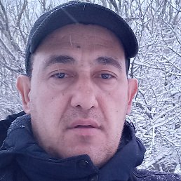 ������, ���������, 51 ���