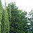 ���� Nik, �������, 58 ��� - ��������� 21 ������� 2023