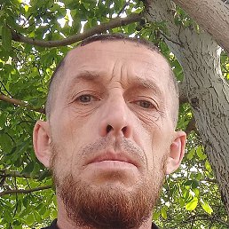 �������, �������, 42 ����