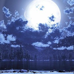 Murod, �������, 31 ���