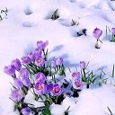 ���� �������, ��������, 43 ���� - ��������� 6 ����� 2023 � ������ ������ ��������