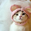 ���� �����, ������, 55 ��� - ��������� 5 ������� 2023 � ������ ���� ����������