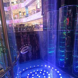 ������, ������, 42 ����