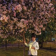 ����, 64 ����, �����-���������